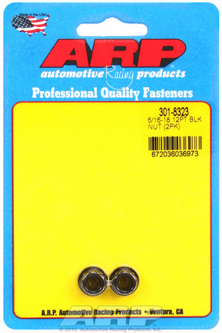 5/16in  8740 Black Oxide 12-pt Nut Kit