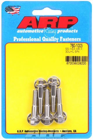 M6 x 1.00 x 30 hex SS bolts